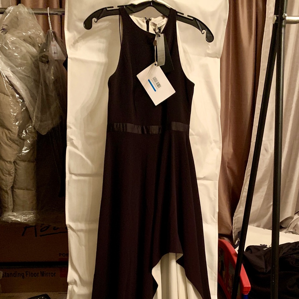 Halston Heritage Women’s Color Block Formal Dress